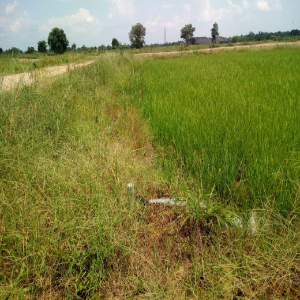 WhatsApp Image 2026-07-16 at 105258 AM (3)